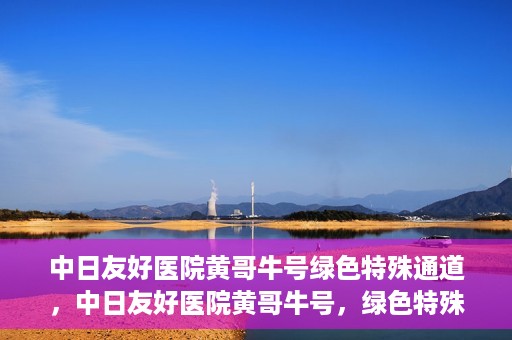 中日友好医院黄哥牛号绿色特殊通道，中日友好医院黄哥牛号，绿色特殊通道开启健康之门