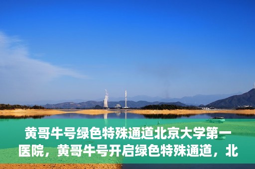 黄哥牛号绿色特殊通道北京大学第一医院，黄哥牛号开启绿色特殊通道，北京大学第一医院全力护航健康之路