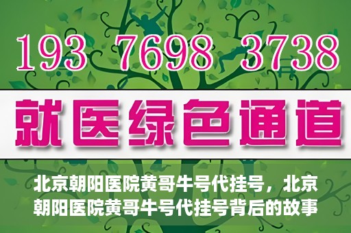 北京朝阳医院黄哥牛号代挂号，北京朝阳医院黄哥牛号代挂号背后的故事揭秘