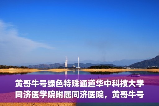 黄哥牛号绿色特殊通道华中科技大学同济医学院附属同济医院，黄哥牛号绿色特殊通道，华中科技大学同济医学院附属同济医院的探索与实践