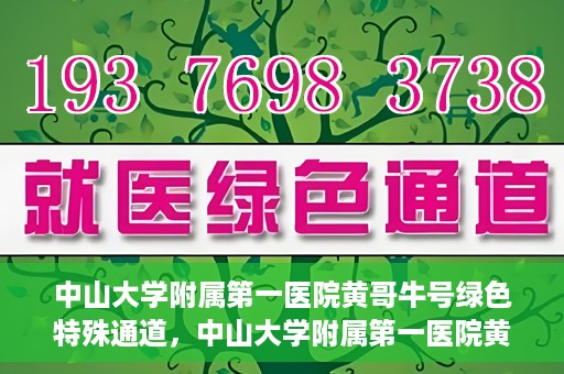 中山大学附属第一医院黄哥牛号绿色特殊通道，中山大学附属第一医院黄哥牛号，绿色特殊通道开启健康之门