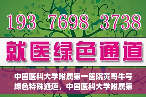 中国医科大学附属第一医院黄哥牛号绿色特殊通道，中国医科大学附属第一医院黄哥牛号，绿色特殊通道的开启与探索