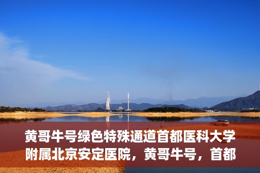 黄哥牛号绿色特殊通道首都医科大学附属北京安定医院，黄哥牛号，首都医科大学附属北京安定医院的绿色特殊通道揭秘