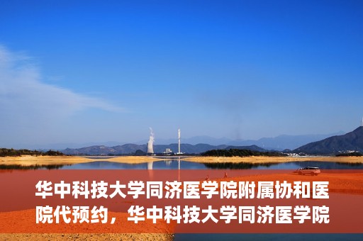 华中科技大学同济医学院附属协和医院代预约，华中科技大学同济医学院附属协和医院便捷代预约服务解析