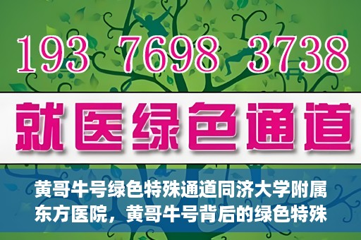 黄哥牛号绿色特殊通道同济大学附属东方医院，黄哥牛号背后的绿色特殊通道，同济大学附属东方医院的探索与实践