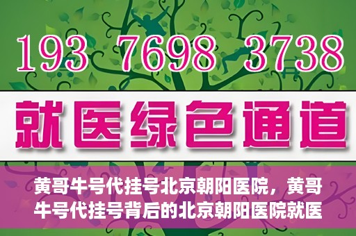 黄哥牛号代挂号北京朝阳医院，黄哥牛号代挂号背后的北京朝阳医院就医现象观察