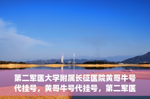 第二军医大学附属长征医院黄哥牛号代挂号，黄哥牛号代挂号，第二军医大学附属长征医院的便捷就医之路