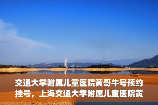 交通大学附属儿童医院黄哥牛号预约挂号，上海交通大学附属儿童医院黄哥牛儿科专家预约挂号攻略