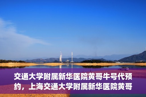 交通大学附属新华医院黄哥牛号代预约，上海交通大学附属新华医院黄哥牛号预约服务解析