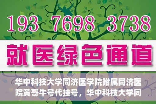 华中科技大学同济医学院附属同济医院黄哥牛号代挂号，华中科技大学同济医院黄哥牛号代挂号背后的故事