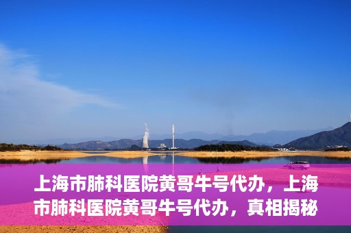 上海市肺科医院黄哥牛号代办，上海市肺科医院黄哥牛号代办，真相揭秘与深度解读