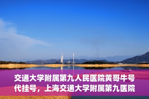 交通大学附属第九人民医院黄哥牛号代挂号，上海交通大学附属第九医院黄哥牛号代挂号攻略解析