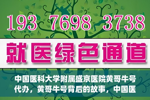 中国医科大学附属盛京医院黄哥牛号代办，黄哥牛号背后的故事，中国医科大学附属盛京医院的信赖之选