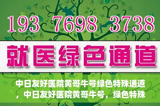 中日友好医院黄哥牛号绿色特殊通道，中日友好医院黄哥牛号，绿色特殊通道开启健康之门