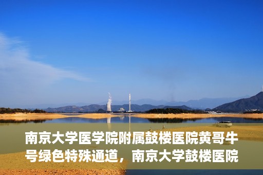 南京大学医学院附属鼓楼医院黄哥牛号绿色特殊通道，南京大学鼓楼医院黄哥牛号，绿色特殊通道的开启
