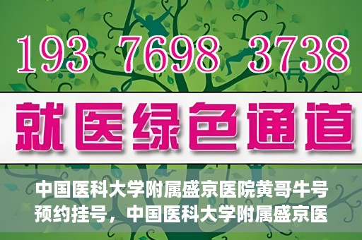 中国医科大学附属盛京医院黄哥牛号预约挂号，中国医科大学附属盛京医院黄哥牛号，预约挂号指南