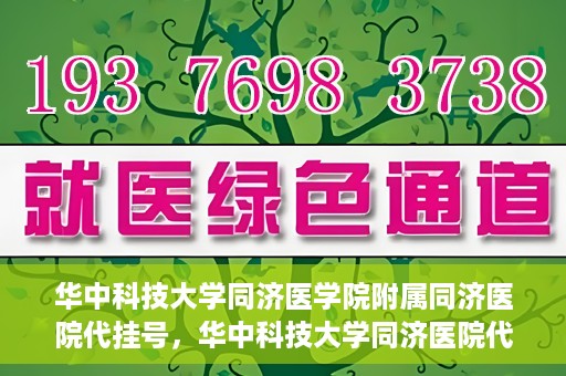 华中科技大学同济医学院附属同济医院代挂号，华中科技大学同济医院代挂号服务解析
