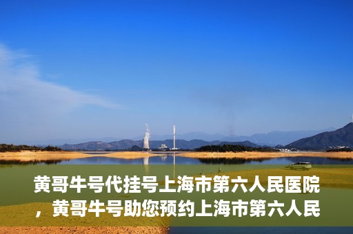 黄哥牛号代挂号上海市第六人民医院，黄哥牛号助您预约上海市第六人民医院挂号服务