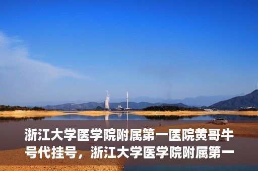 浙江大学医学院附属第一医院黄哥牛号代挂号，浙江大学医学院附属第一医院黄哥牛号代挂号服务解析