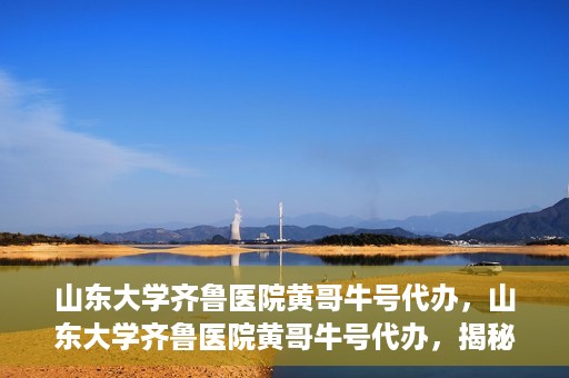 山东大学齐鲁医院黄哥牛号代办，山东大学齐鲁医院黄哥牛号代办，揭秘背后的故事与真相