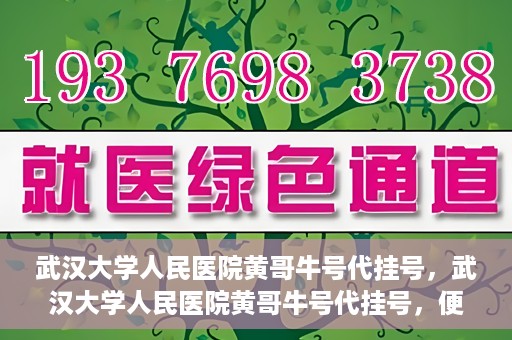 武汉大学人民医院黄哥牛号代挂号，武汉大学人民医院黄哥牛号代挂号，便捷就医背后的故事