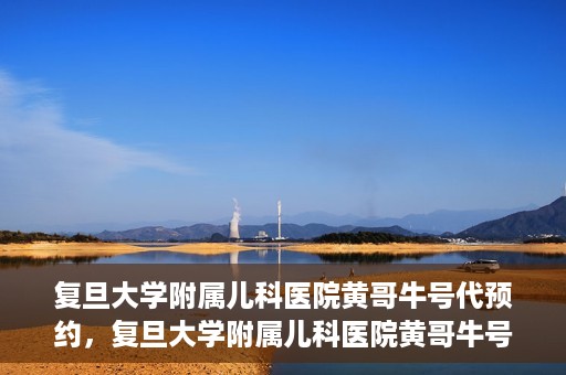 复旦大学附属儿科医院黄哥牛号代预约，复旦大学附属儿科医院黄哥牛号预约服务解析