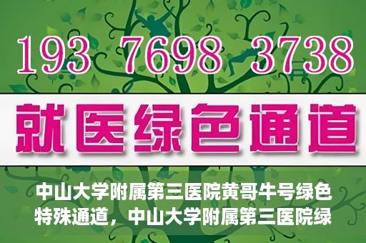 中山大学附属第三医院黄哥牛号绿色特殊通道，中山大学附属第三医院绿色特殊通道，黄哥牛号引领医疗创新之路