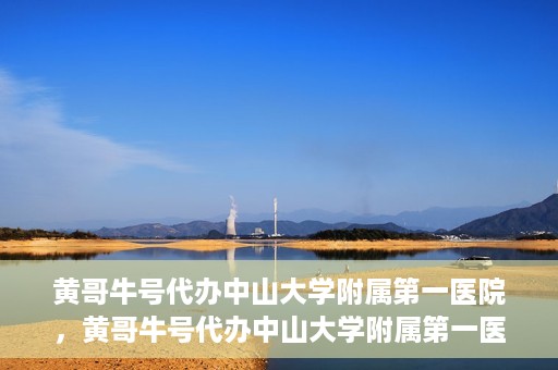 黄哥牛号代办中山大学附属第一医院，黄哥牛号代办中山大学附属第一医院业务手续全攻略