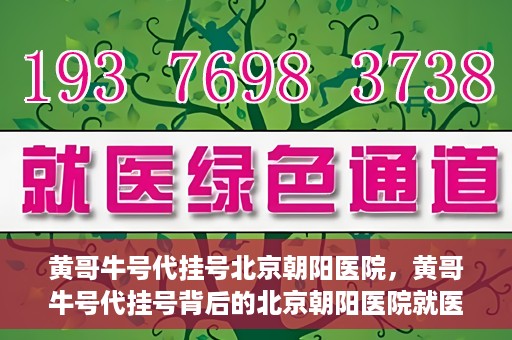 黄哥牛号代挂号北京朝阳医院，黄哥牛号代挂号背后的北京朝阳医院就医现象观察