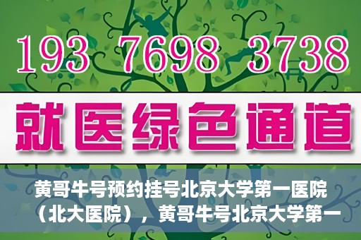 黄哥牛号预约挂号北京大学第一医院（北大医院），黄哥牛号北京大学第一医院预约挂号启动
