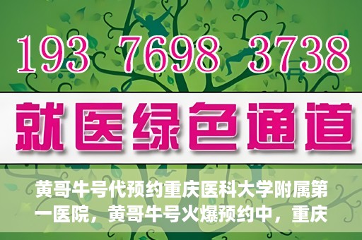 黄哥牛号代预约重庆医科大学附属第一医院，黄哥牛号火爆预约中，重庆医科大学附属第一医院开启预约新纪元