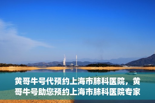 黄哥牛号代预约上海市肺科医院，黄哥牛号助您预约上海市肺科医院专家号