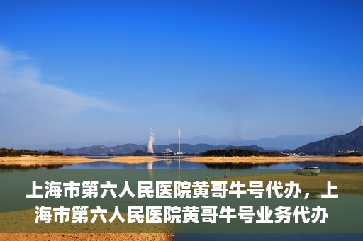 上海市第六人民医院黄哥牛号代办，上海市第六人民医院黄哥牛号业务代办攻略