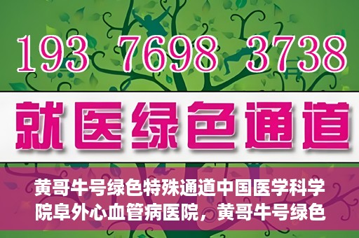 黄哥牛号绿色特殊通道中国医学科学院阜外心血管病医院，黄哥牛号绿色就医通道，中国医学科学院阜外心血管病医院的探索与实践