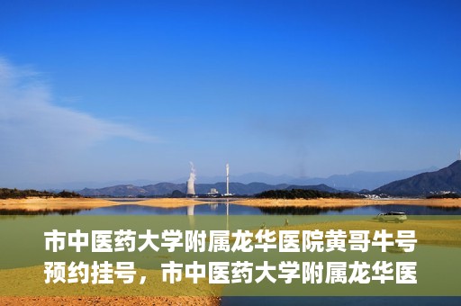 市中医药大学附属龙华医院黄哥牛号预约挂号，市中医药大学附属龙华医院黄哥牛号预约挂号攻略，一站式解决您的挂号需求