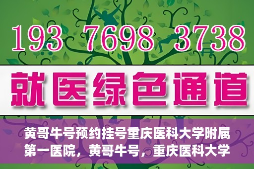 黄哥牛号预约挂号重庆医科大学附属第一医院，黄哥牛号，重庆医科大学附属第一医院预约挂号服务开启