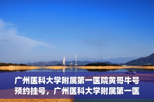 广州医科大学附属第一医院黄哥牛号预约挂号，广州医科大学附属第一医院黄哥名医牛号预约挂号攻略