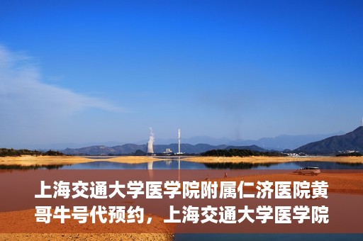 上海交通大学医学院附属仁济医院黄哥牛号代预约，上海交通大学医学院附属仁济医院黄哥预约挂号服务启动，便捷就医新选择
