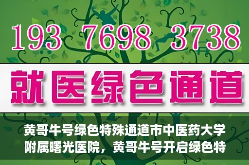 黄哥牛号绿色特殊通道市中医药大学附属曙光医院，黄哥牛号开启绿色特殊通道，市中医药大学附属曙光医院倾力打造健康新篇章