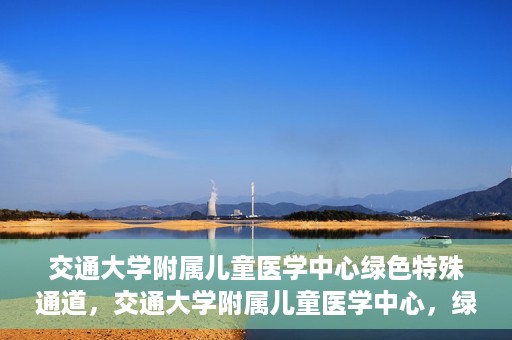 交通大学附属儿童医学中心绿色特殊通道，交通大学附属儿童医学中心，绿色特殊通道，守护儿童健康之路