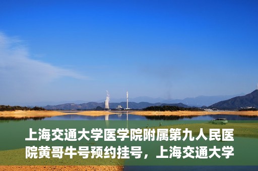上海交通大学医学院附属第九人民医院黄哥牛号预约挂号，上海交通大学医学院附属第九人民医院黄哥牛号预约挂号攻略解析