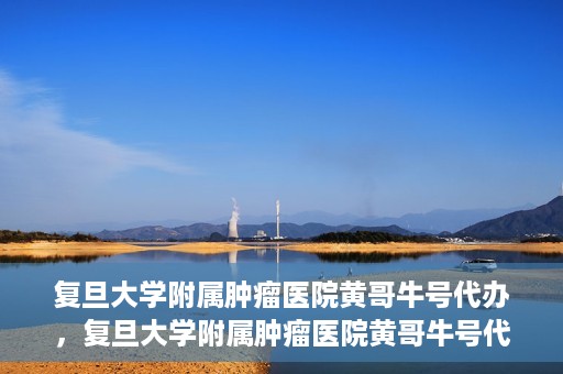 复旦大学附属肿瘤医院黄哥牛号代办，复旦大学附属肿瘤医院黄哥牛号代办，真相揭秘与深度解析