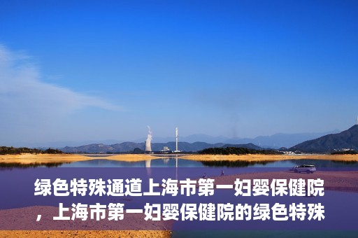 绿色特殊通道上海市第一妇婴保健院，上海市第一妇婴保健院的绿色特殊通道，守护母婴健康的坚实屏障