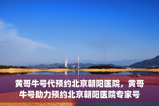黄哥牛号代预约北京朝阳医院，黄哥牛号助力预约北京朝阳医院专家号