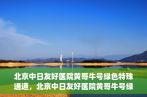 北京中日友好医院黄哥牛号绿色特殊通道，北京中日友好医院黄哥牛号绿色就医特殊通道解析