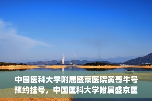 中国医科大学附属盛京医院黄哥牛号预约挂号，中国医科大学附属盛京医院黄哥牛号，预约挂号指南