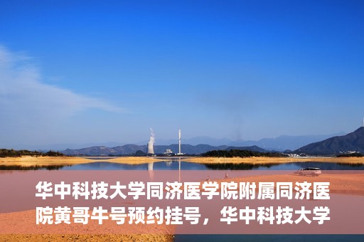 华中科技大学同济医学院附属同济医院黄哥牛号预约挂号，华中科技大学同济医院黄哥牛号预约挂号攻略