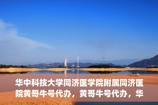 华中科技大学同济医学院附属同济医院黄哥牛号代办，黄哥牛号代办，华中科技大学同济医学院附属同济医院的便捷服务新探