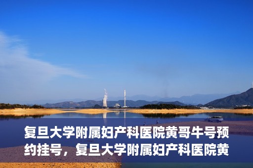 复旦大学附属妇产科医院黄哥牛号预约挂号，复旦大学附属妇产科医院黄哥牛挂号预约攻略解析
