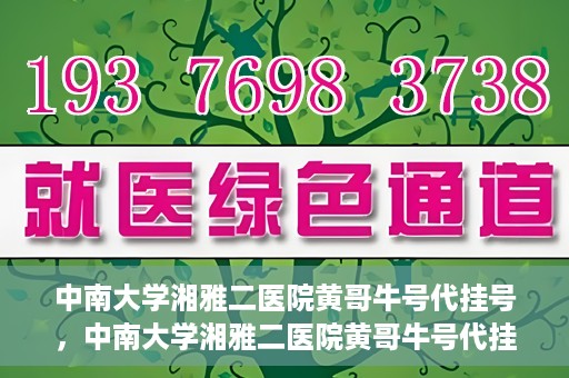 中南大学湘雅二医院黄哥牛号代挂号，中南大学湘雅二医院黄哥牛号代挂号，便捷就医背后的故事
